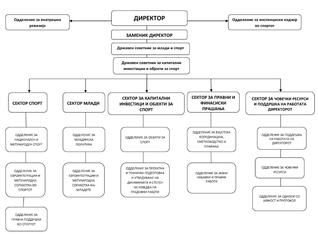 organogram